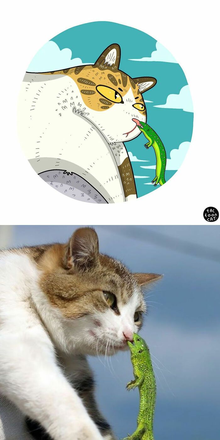 34 Fotos engraçadas de gatos virais ilustradas por este artista 15