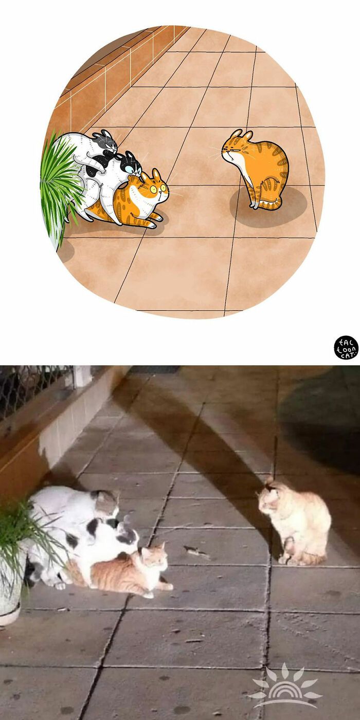 34 Fotos engraçadas de gatos virais ilustradas por este artista 18