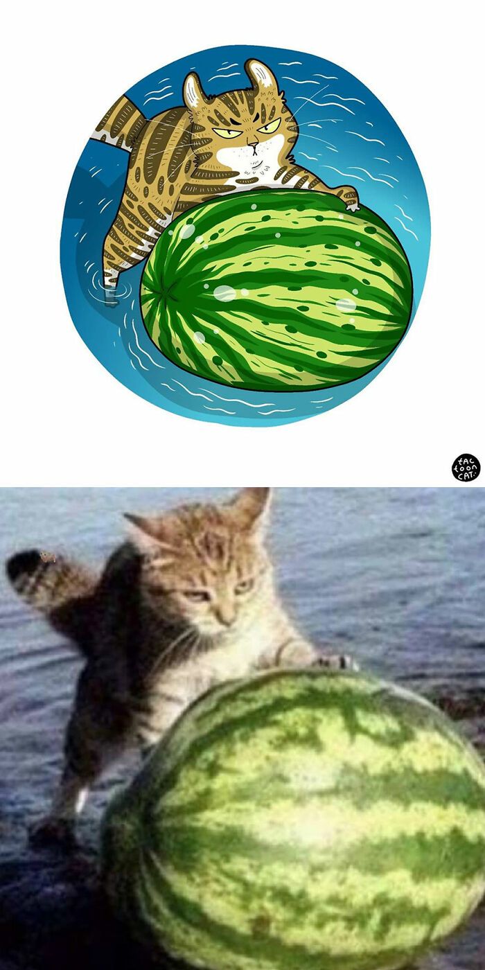 34 Fotos engraçadas de gatos virais ilustradas por este artista 23