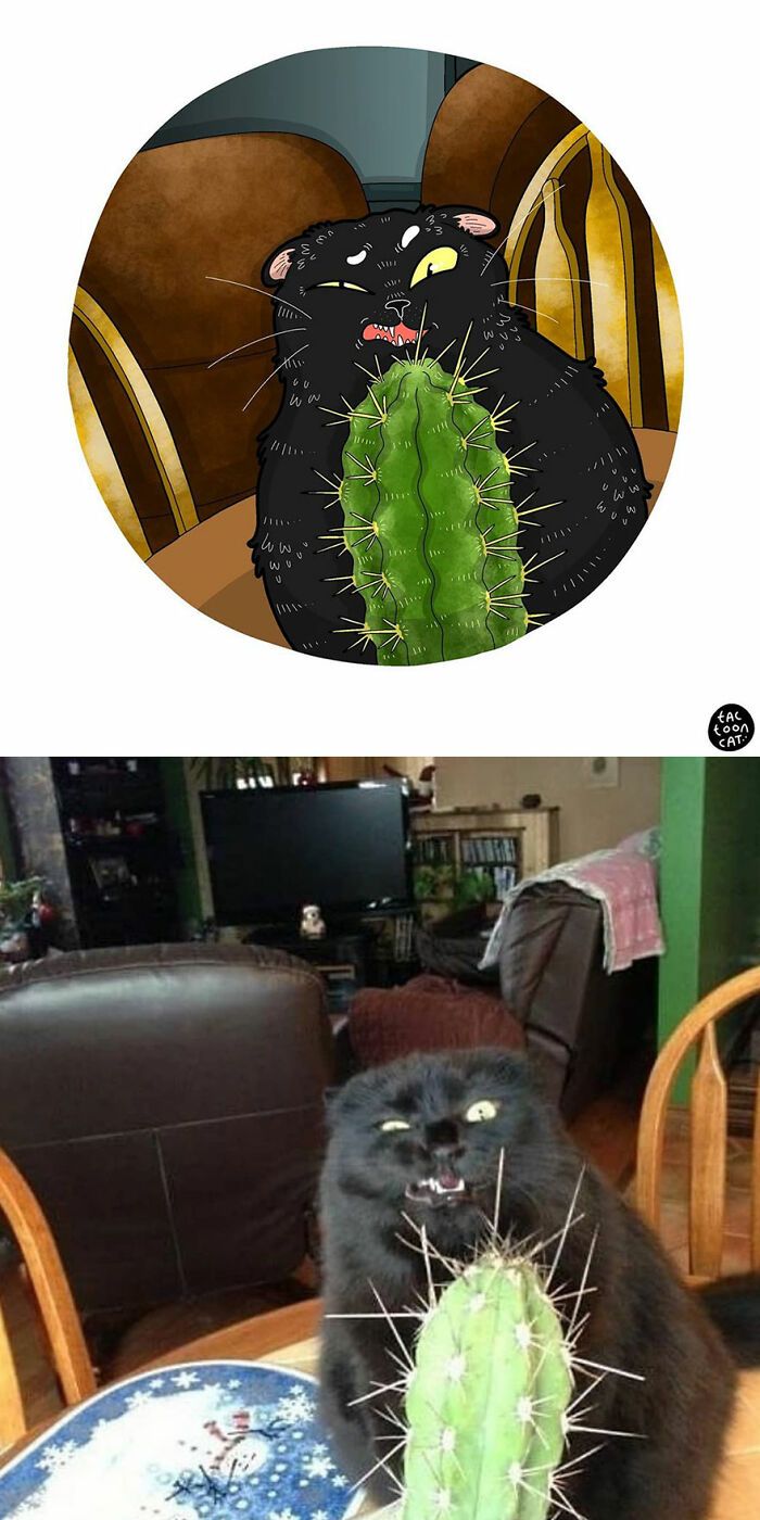 34 Fotos engraçadas de gatos virais ilustradas por este artista 26