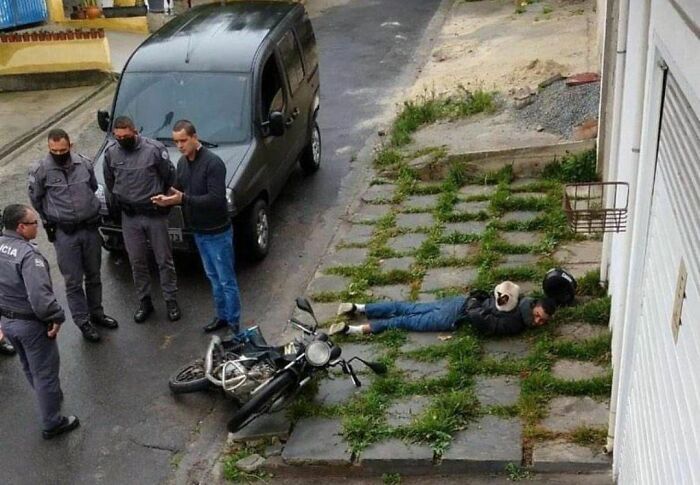 43 fotos engraçadas e fofas de animais tirados no meio de suas travessuras 6