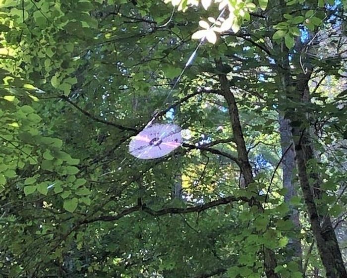 19 fotos que capturaram o momento exato em que a vida começou a ficar meio estranha 5