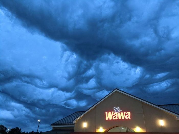 19 fotos que capturaram o momento exato em que a vida começou a ficar meio estranha 10