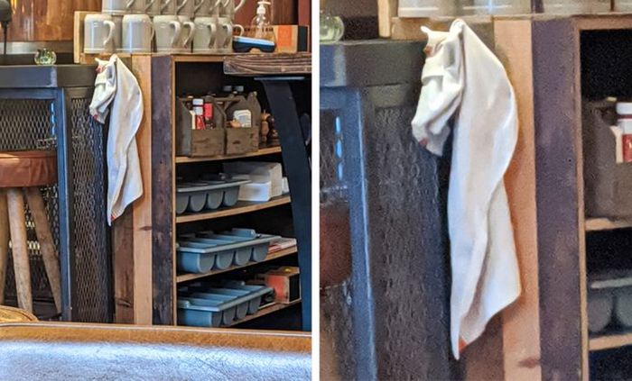 19 fotos que capturaram o momento exato em que a vida começou a ficar meio estranha 11