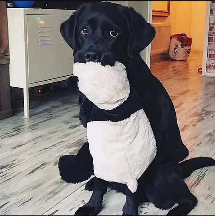 19 fotos que capturaram o momento exato em que a vida começou a ficar meio estranha 19