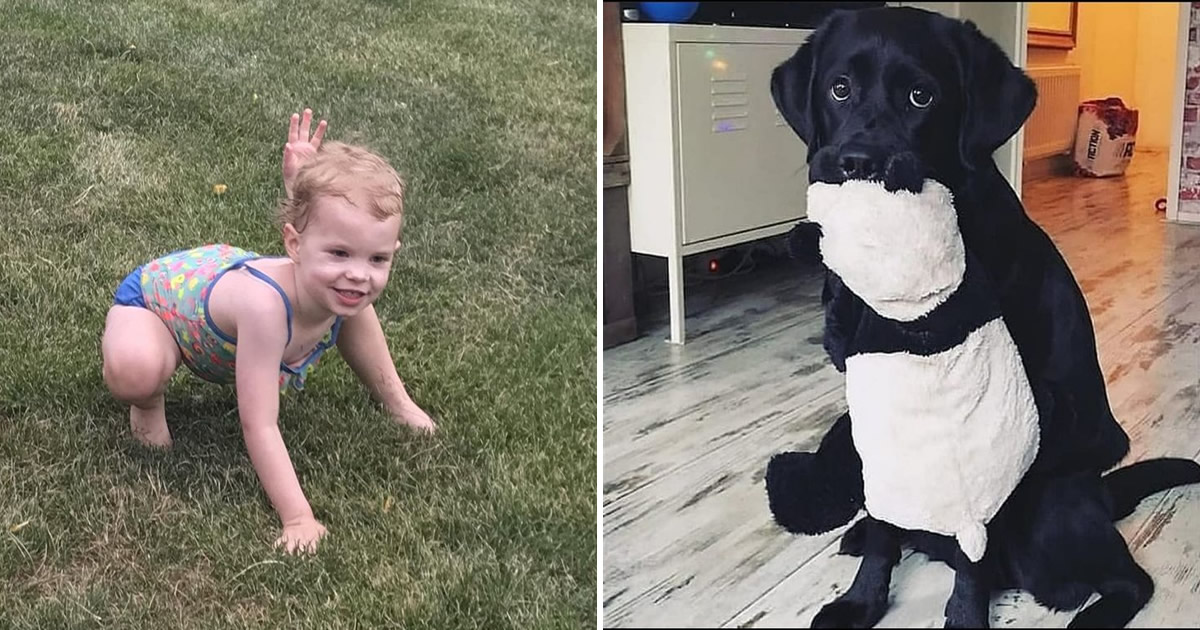 19 fotos que capturaram o momento exato em que a vida começou a ficar meio estranha