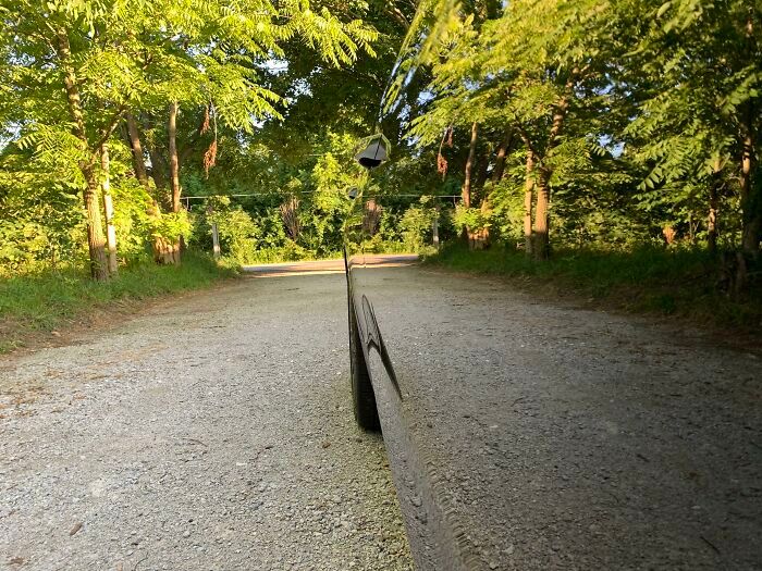 26 fotos que escondem verdadeiros mestres da camuflagem acidental 18