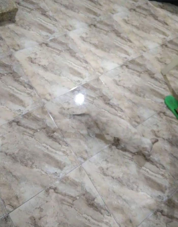 26 fotos que escondem verdadeiros mestres da camuflagem acidental 25