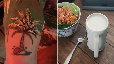 26 fotos que escondem verdadeiros mestres da camuflagem acidental 52