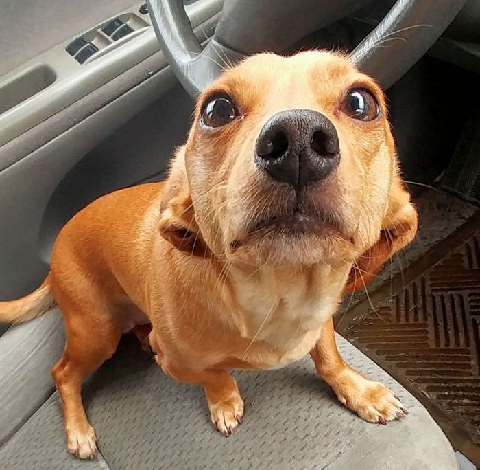 16 fotos que vão fazer você se sentir como se estivesse assistindo a um stand up comedy 3