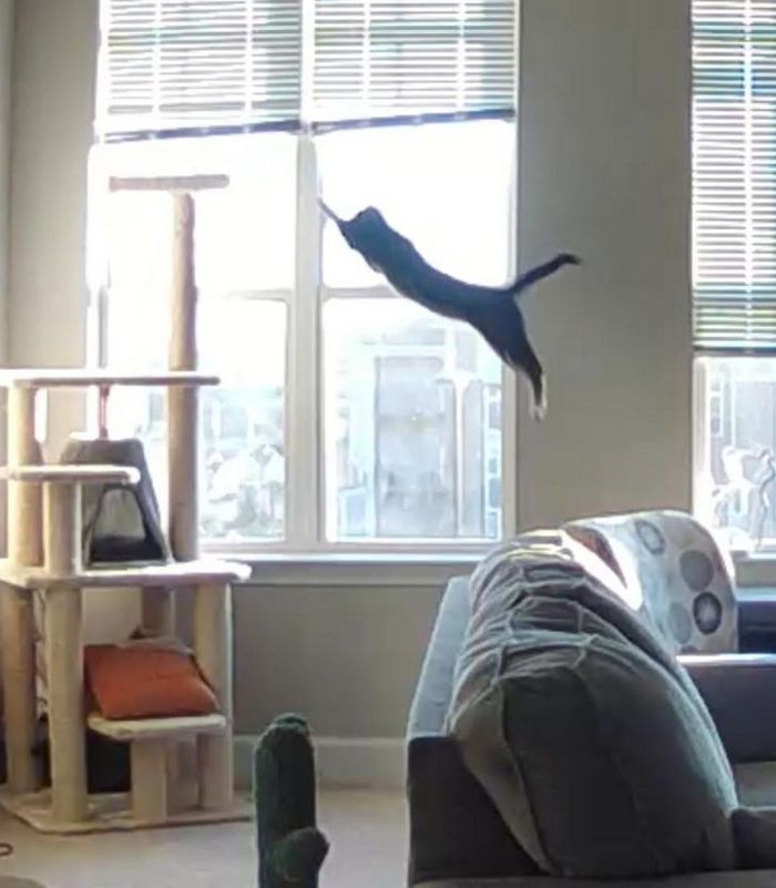 16 fotos que vão fazer você se sentir como se estivesse assistindo a um stand up comedy 4