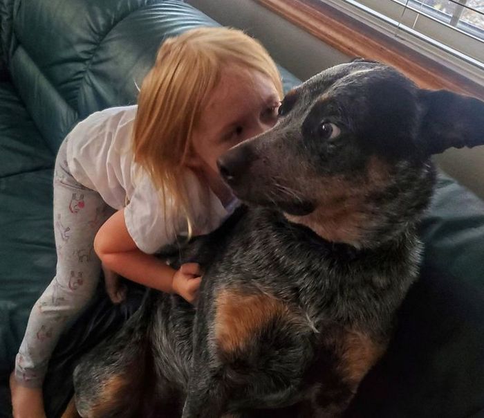 16 fotos que vão fazer você se sentir como se estivesse assistindo a um stand up comedy 12