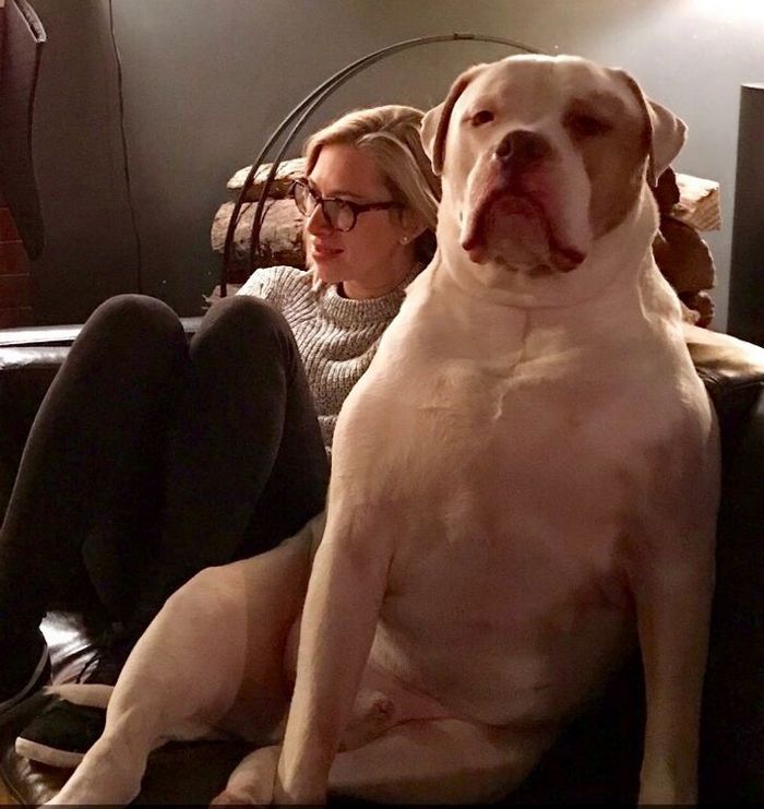 16 fotos que vão fazer você se sentir como se estivesse assistindo a um stand up comedy 16