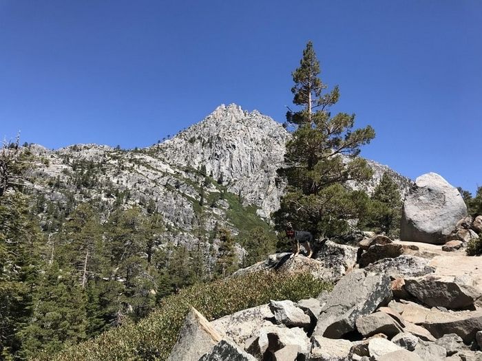 21 pessoas que conseguiram superar as dificuldades para alcançar seus sonhos 4