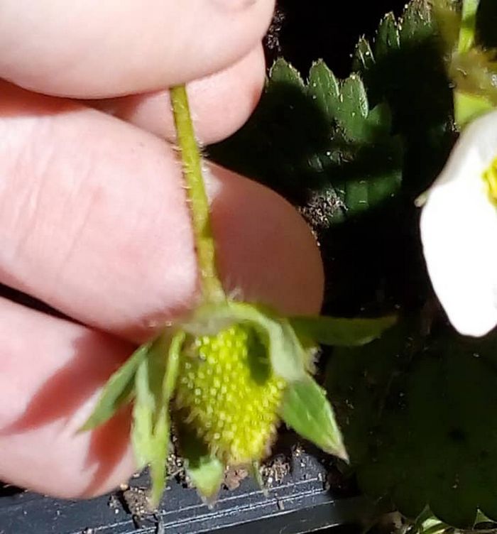 21 pessoas que conseguiram superar as dificuldades para alcançar seus sonhos 6