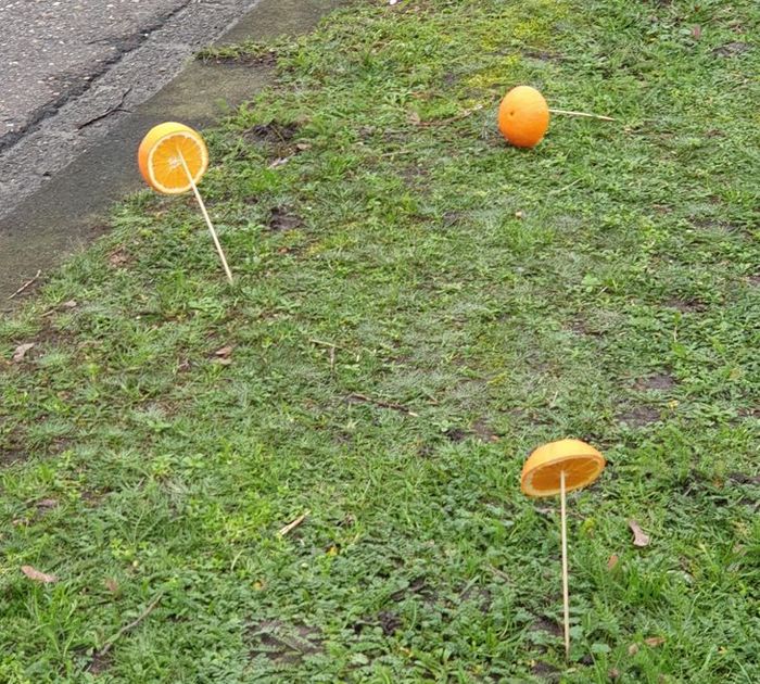 17 pessoas que desvendaram mistérios envolvendo achados incomum 3