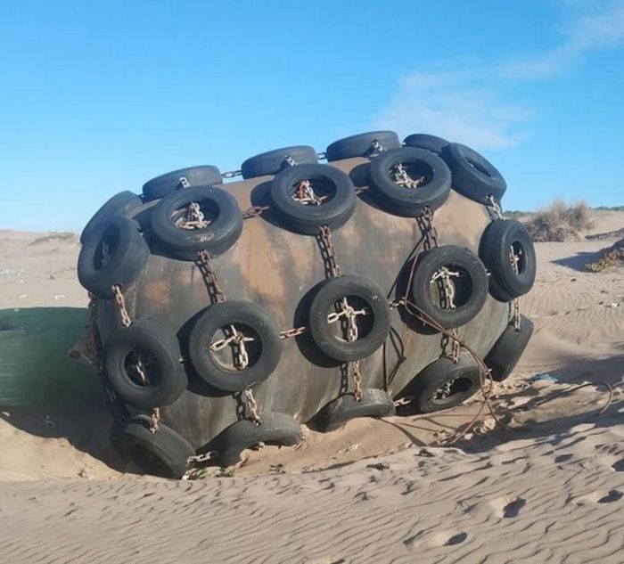 17 pessoas que desvendaram mistérios envolvendo achados incomum 6