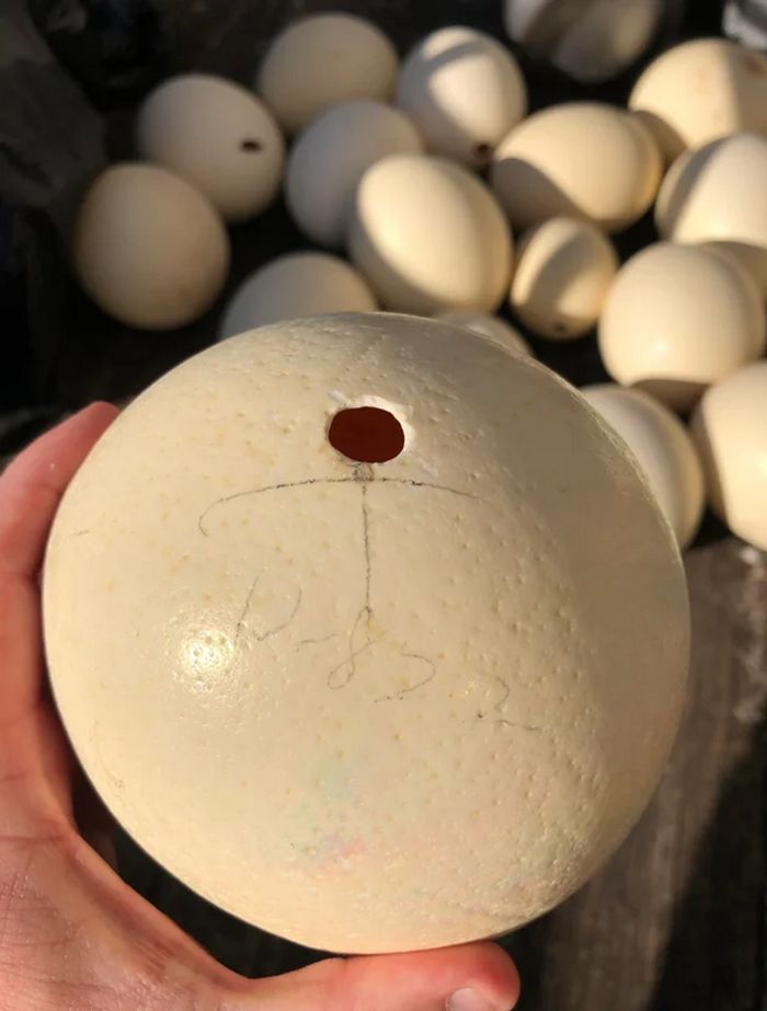 17 pessoas que desvendaram mistérios envolvendo achados incomum 13