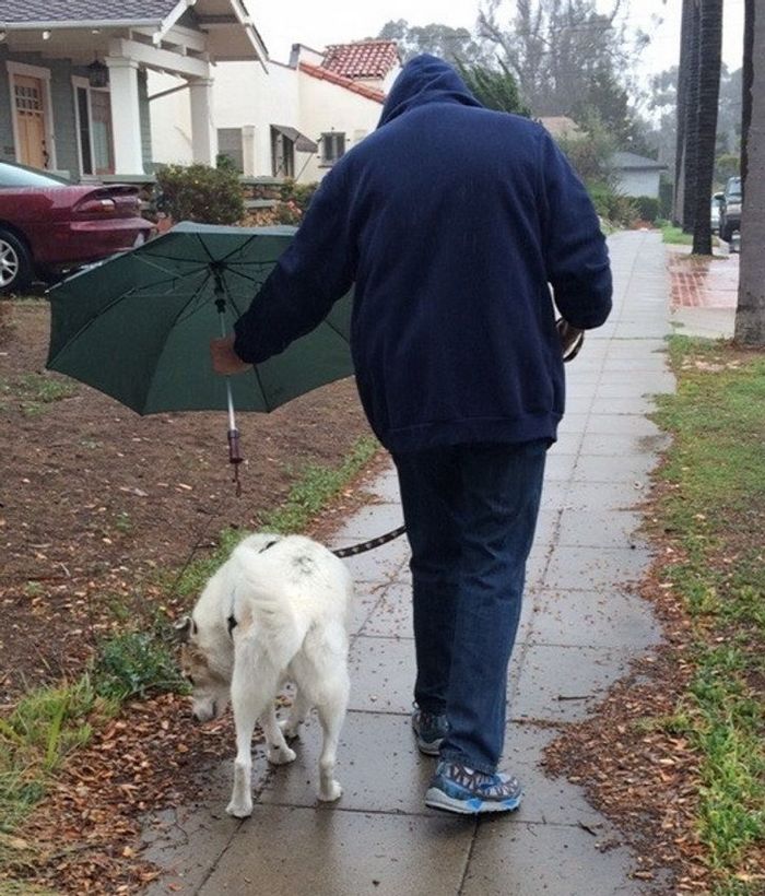 15 pessoas que se esforçam para tornar este planeta um lugar melhor 1