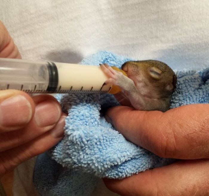 15 pessoas que se esforçam para tornar este planeta um lugar melhor 12