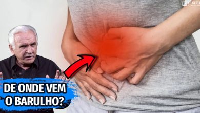 Por que o nosso estômago ronca quando estamos com fome? 8
