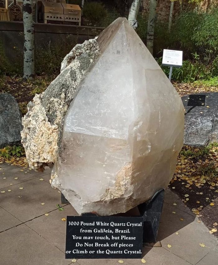 22 provas que o Brasil não é para amadores 8