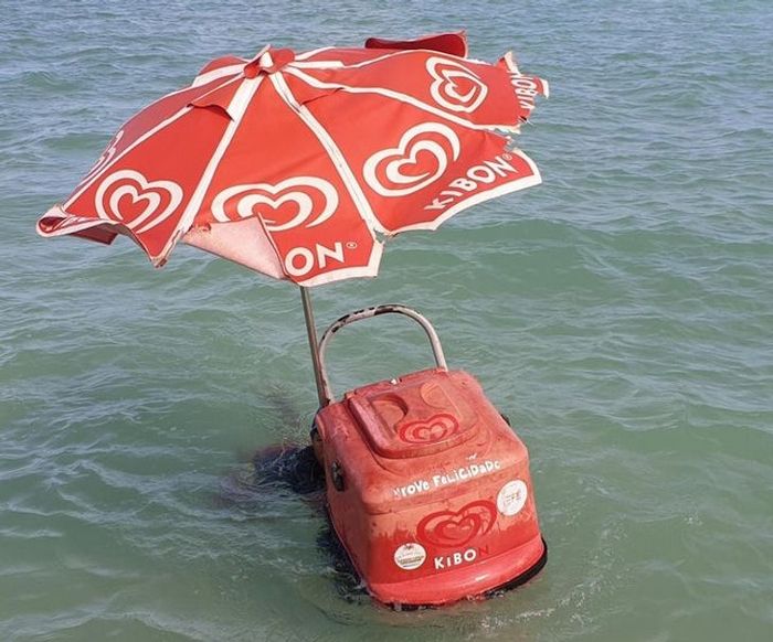 22 provas que o Brasil não é para amadores 13