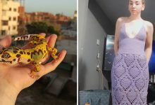 46 vezes que as pessoas fizeram algo no crochê que eram bons demais para não serem compartilhados 9