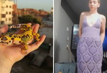 46 vezes que as pessoas fizeram algo no crochê que eram bons demais para não serem compartilhados 24