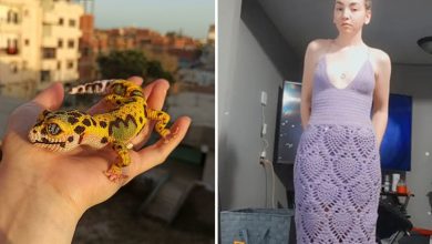 46 vezes que as pessoas fizeram algo no crochê que eram bons demais para não serem compartilhados 39