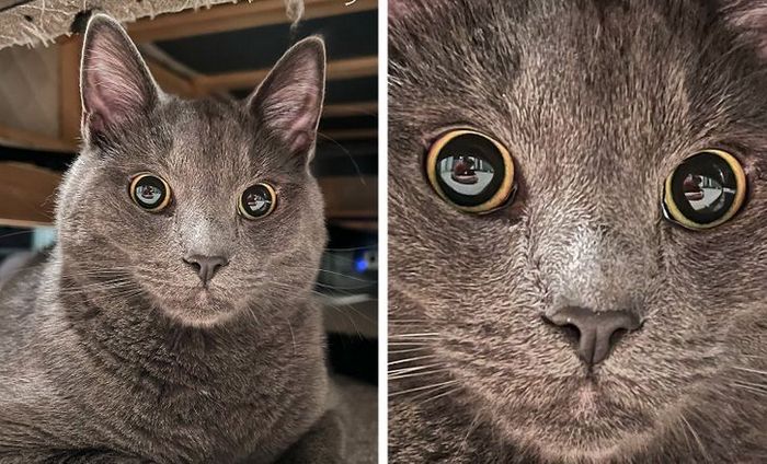 22 vezes que as pessoas não esperavam nada e ficaram surpresas 1