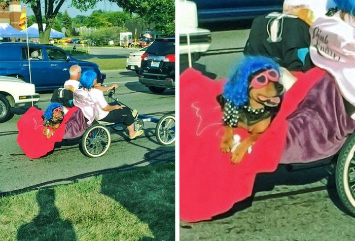 22 vezes que as pessoas não esperavam nada e ficaram surpresas 2