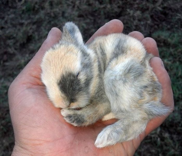 22 vezes que as pessoas não esperavam nada e ficaram surpresas 6