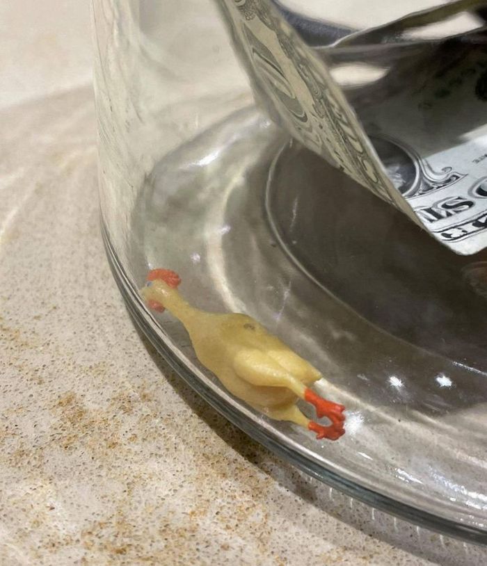 22 vezes que as pessoas não esperavam nada e ficaram surpresas 8