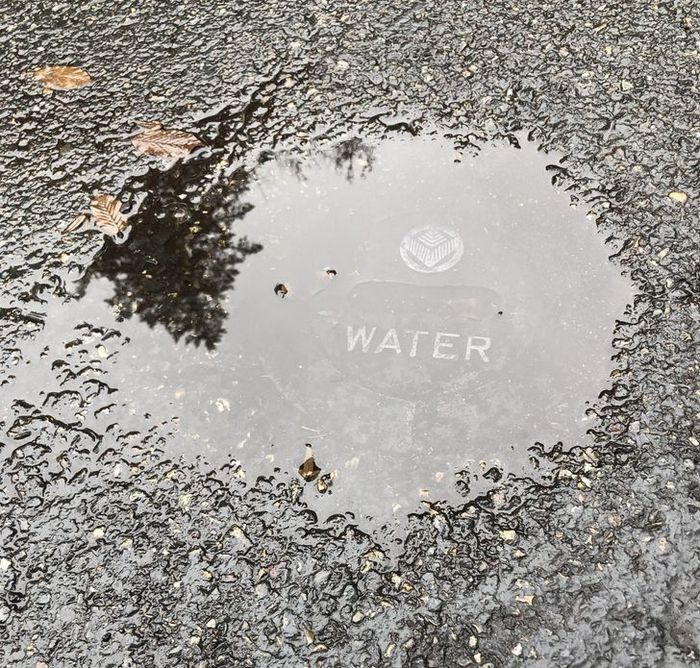 22 vezes que as pessoas não esperavam nada e ficaram surpresas 12