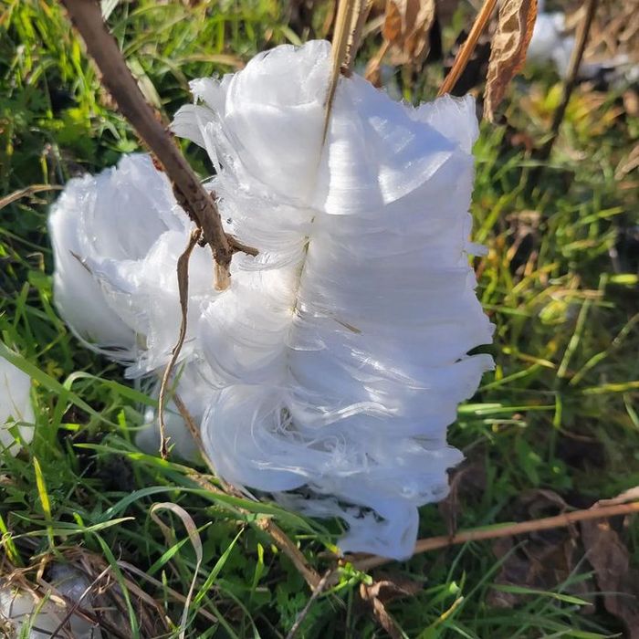 22 vezes que as pessoas não esperavam nada e ficaram surpresas 13