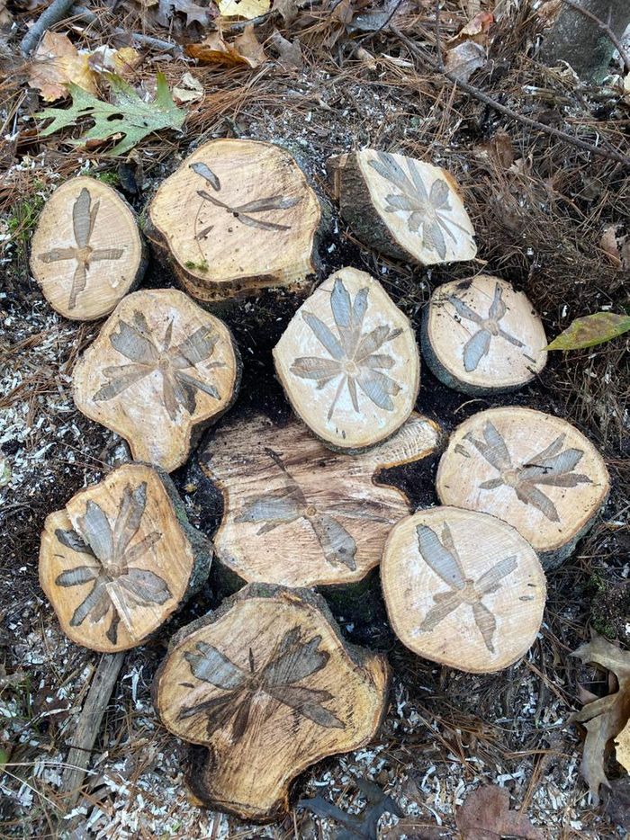 22 vezes que as pessoas não esperavam nada e ficaram surpresas 15