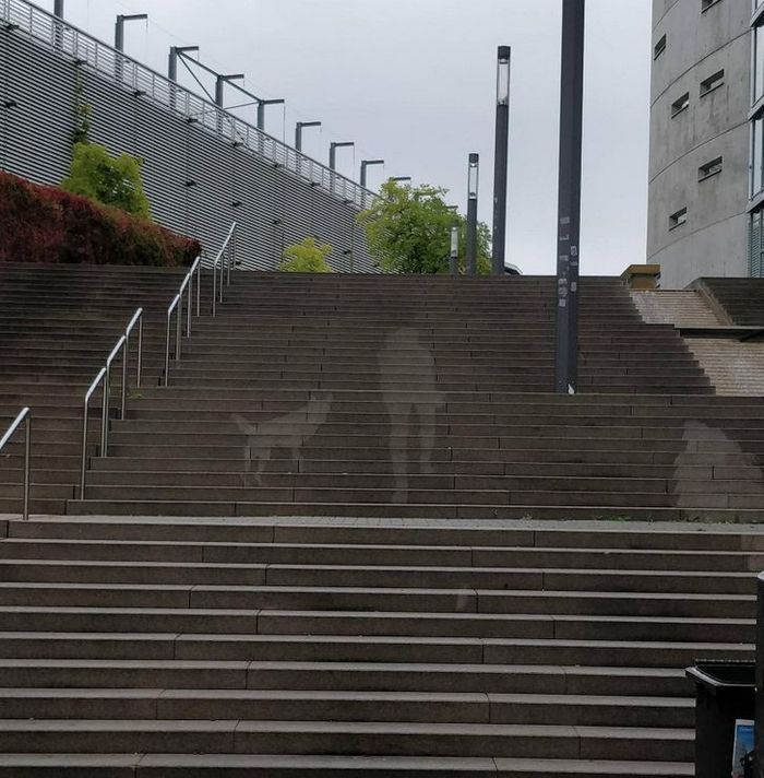 22 vezes que as pessoas não esperavam nada e ficaram surpresas 17