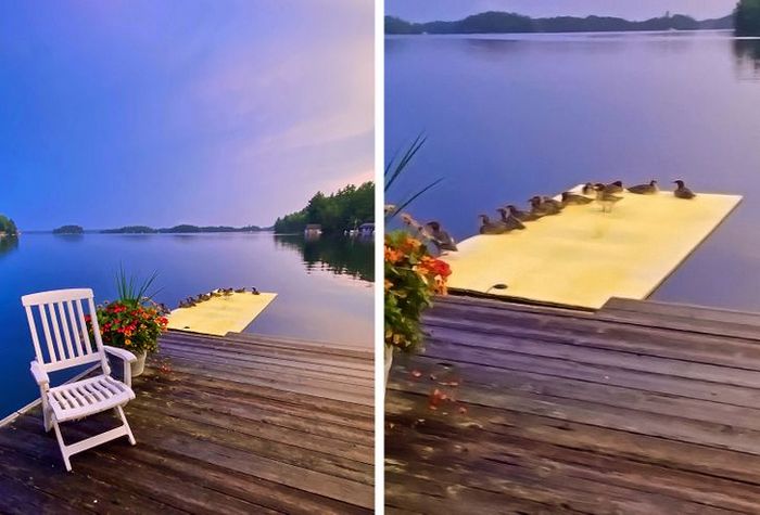 22 vezes que as pessoas não esperavam nada e ficaram surpresas 19