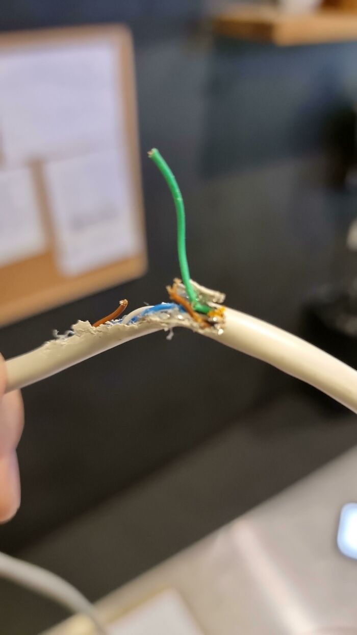 34 vezes que o suporte técnico teve que lidar com casos horríveis durante o trabalho 9