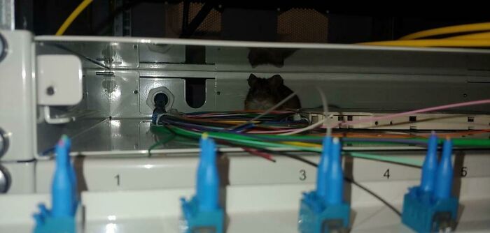 34 vezes que o suporte técnico teve que lidar com casos horríveis durante o trabalho 22