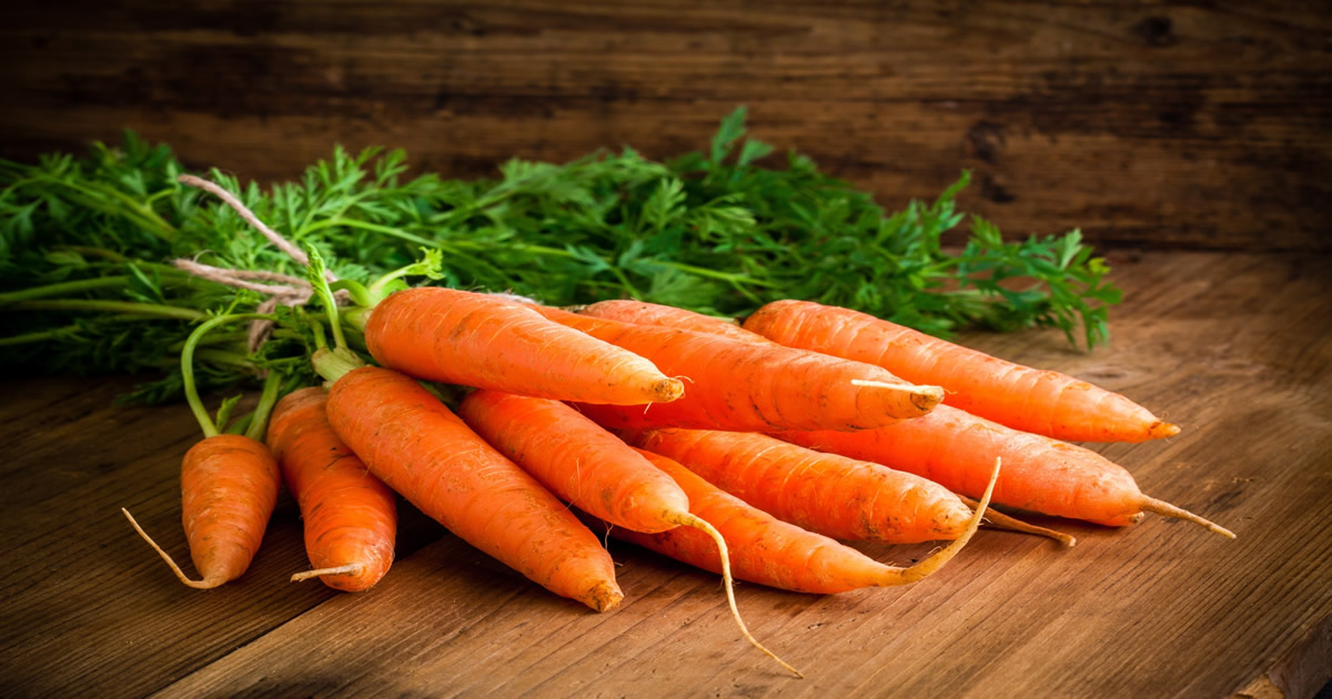 15 benefícios da cenoura para a sua saúde 2