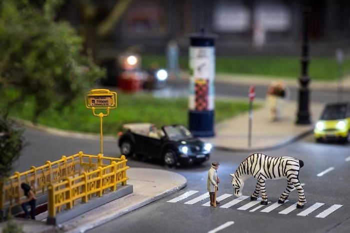 Eu uso objetos cotidianos para criar mini mundos peculiares (30 fotos) 4