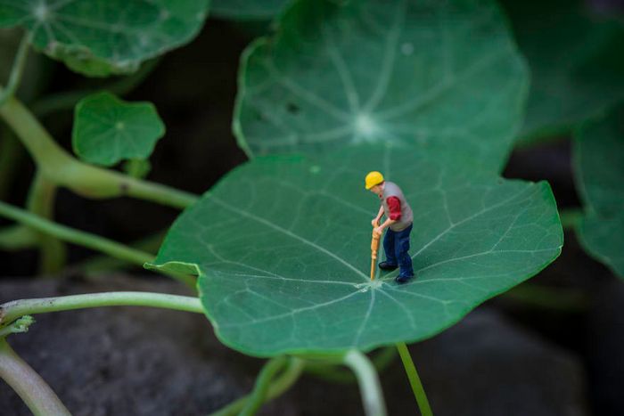 Eu uso objetos cotidianos para criar mini mundos peculiares (30 fotos) 24