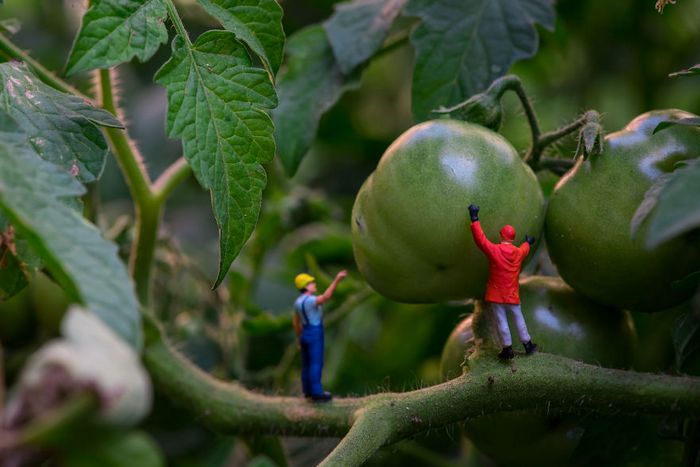 Eu uso objetos cotidianos para criar mini mundos peculiares (30 fotos) 25
