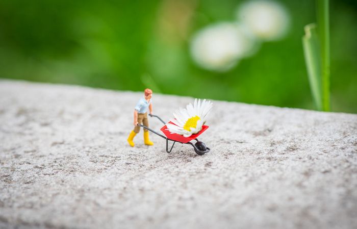 Eu uso objetos cotidianos para criar mini mundos peculiares (30 fotos) 28