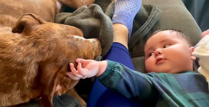 16 fotos de crianças com animais de estimação que nos fizeram acreditar na verdadeira amizade 11