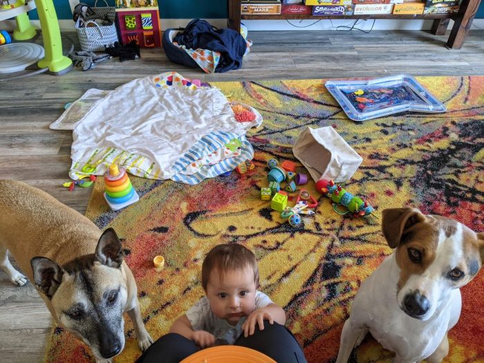 16 fotos de crianças com animais de estimação que nos fizeram acreditar na verdadeira amizade 15