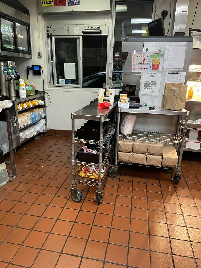 32 fotos de gatos muito bem escondidos 3