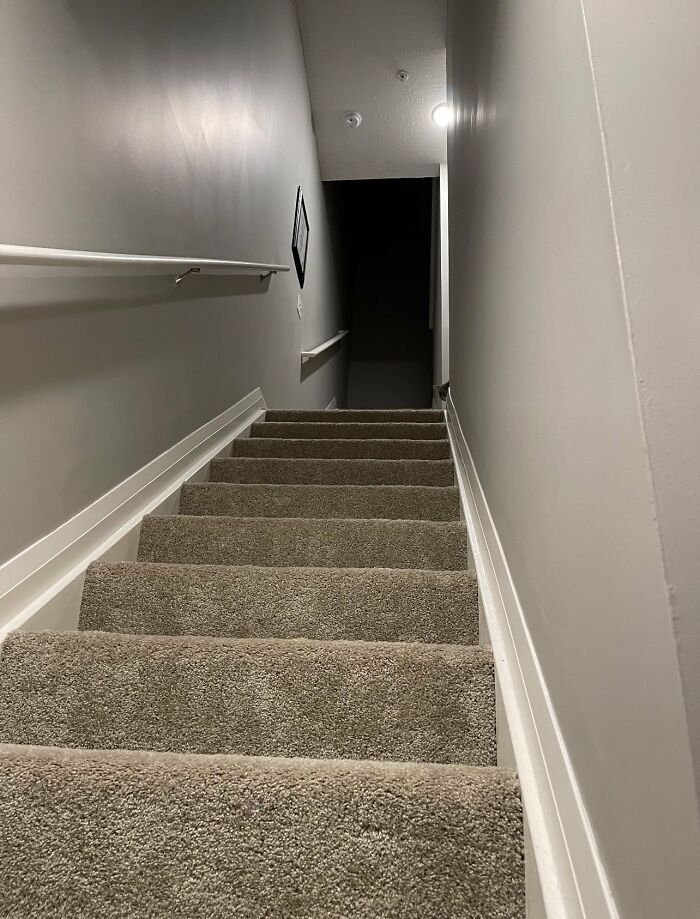 32 fotos de gatos muito bem escondidos 4